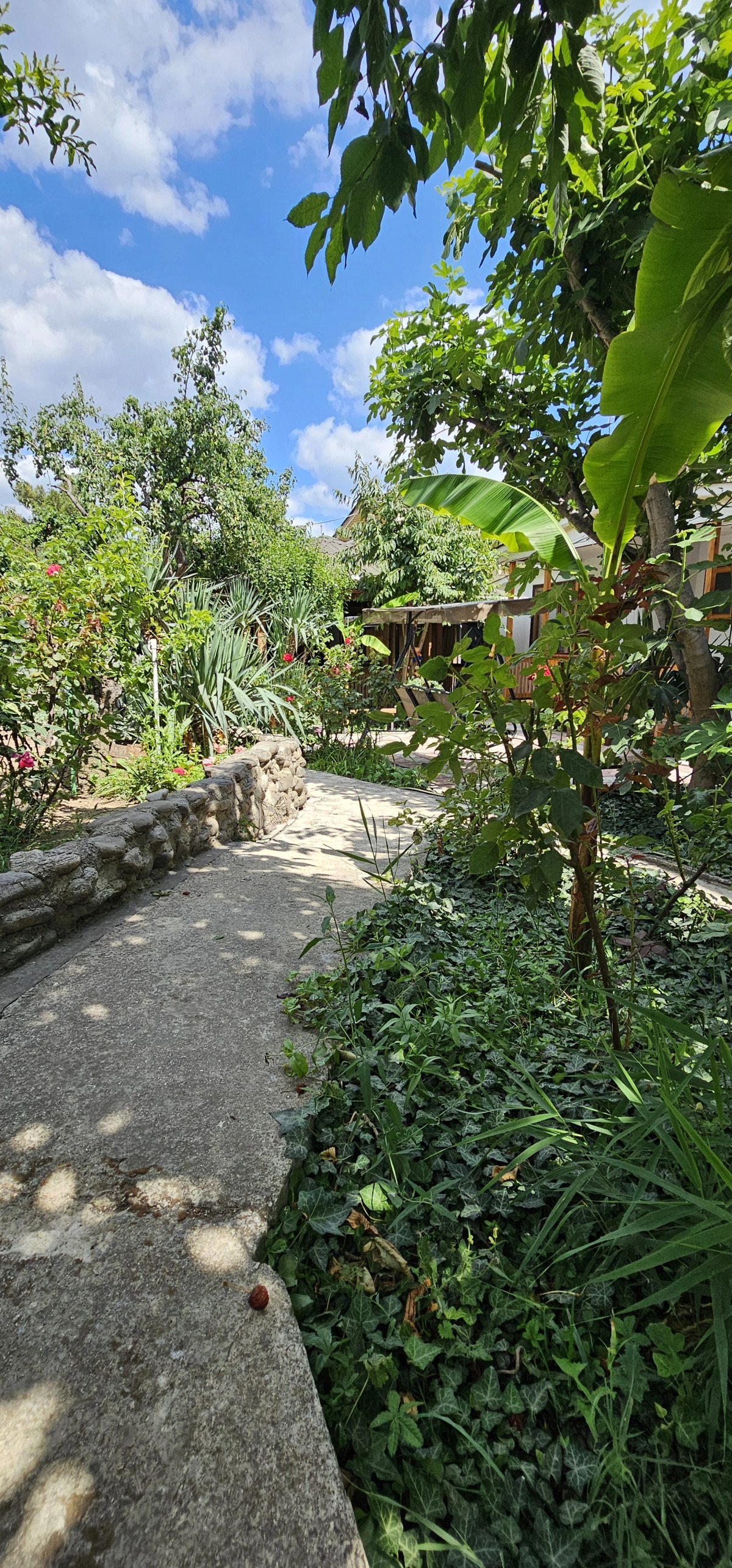 Гостевой Дом Янаки