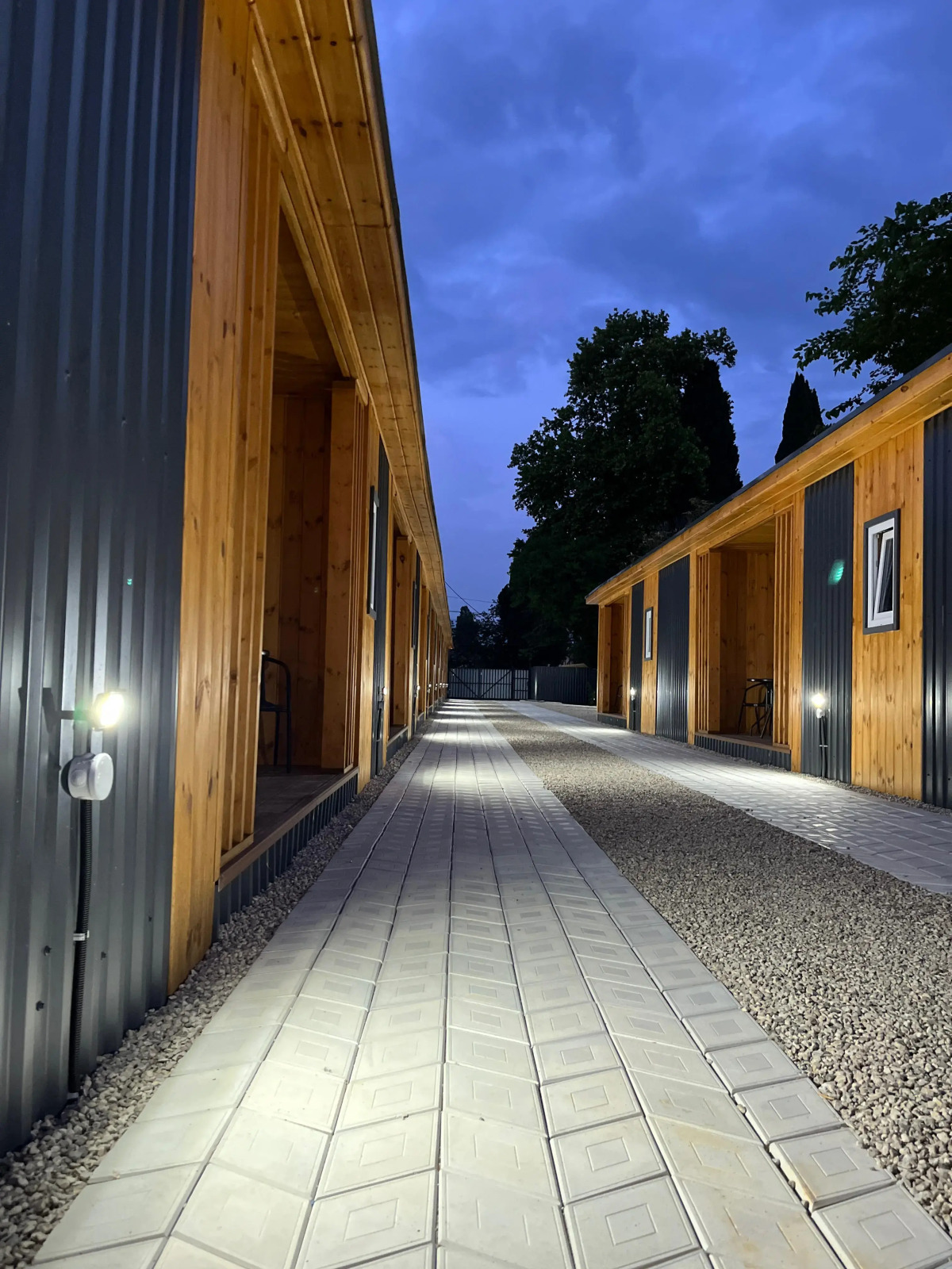 Отель Dионис