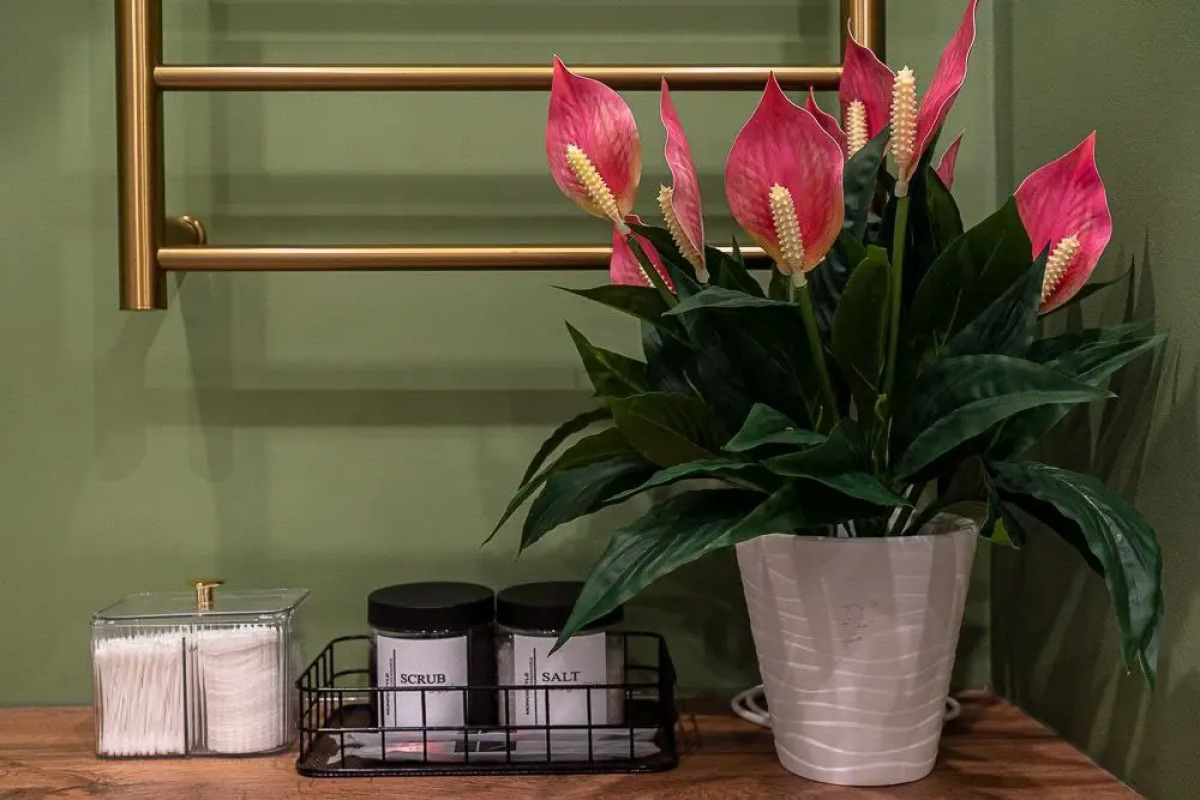 Апартаменты LaMansh Apartment