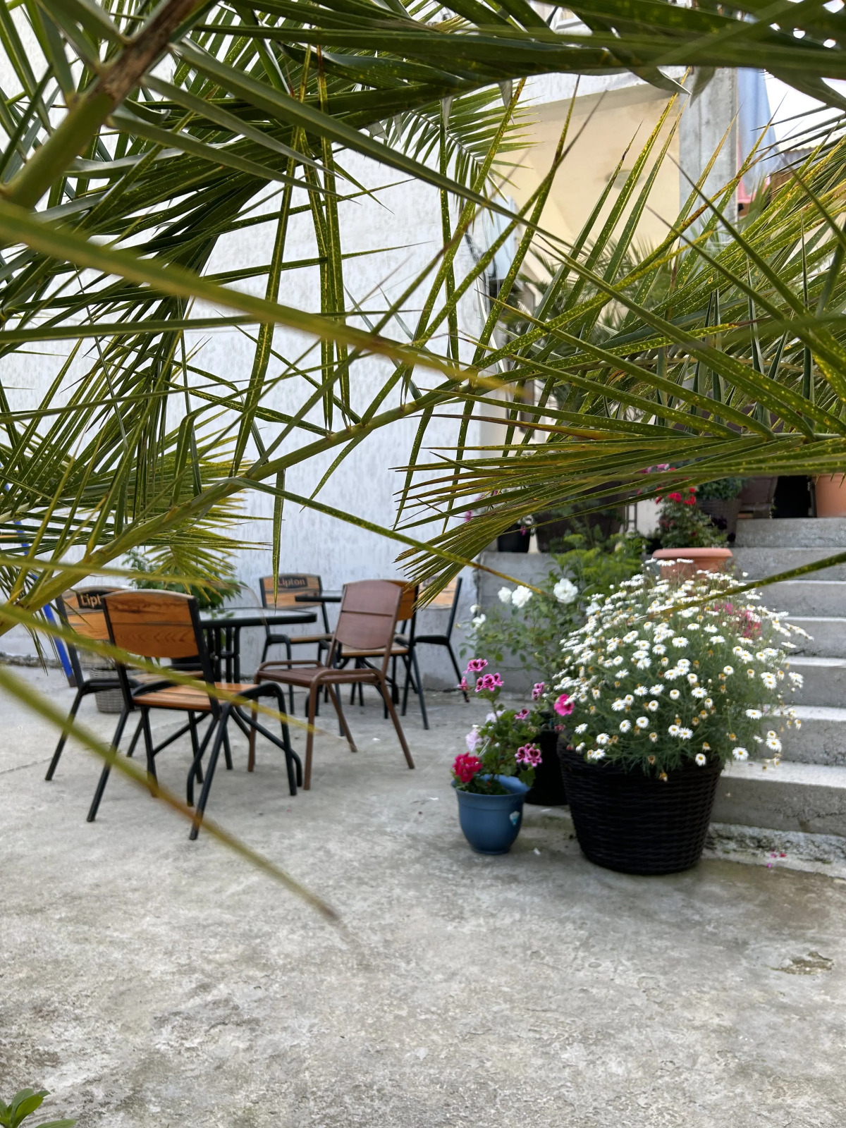 Гостевой дом Роберто