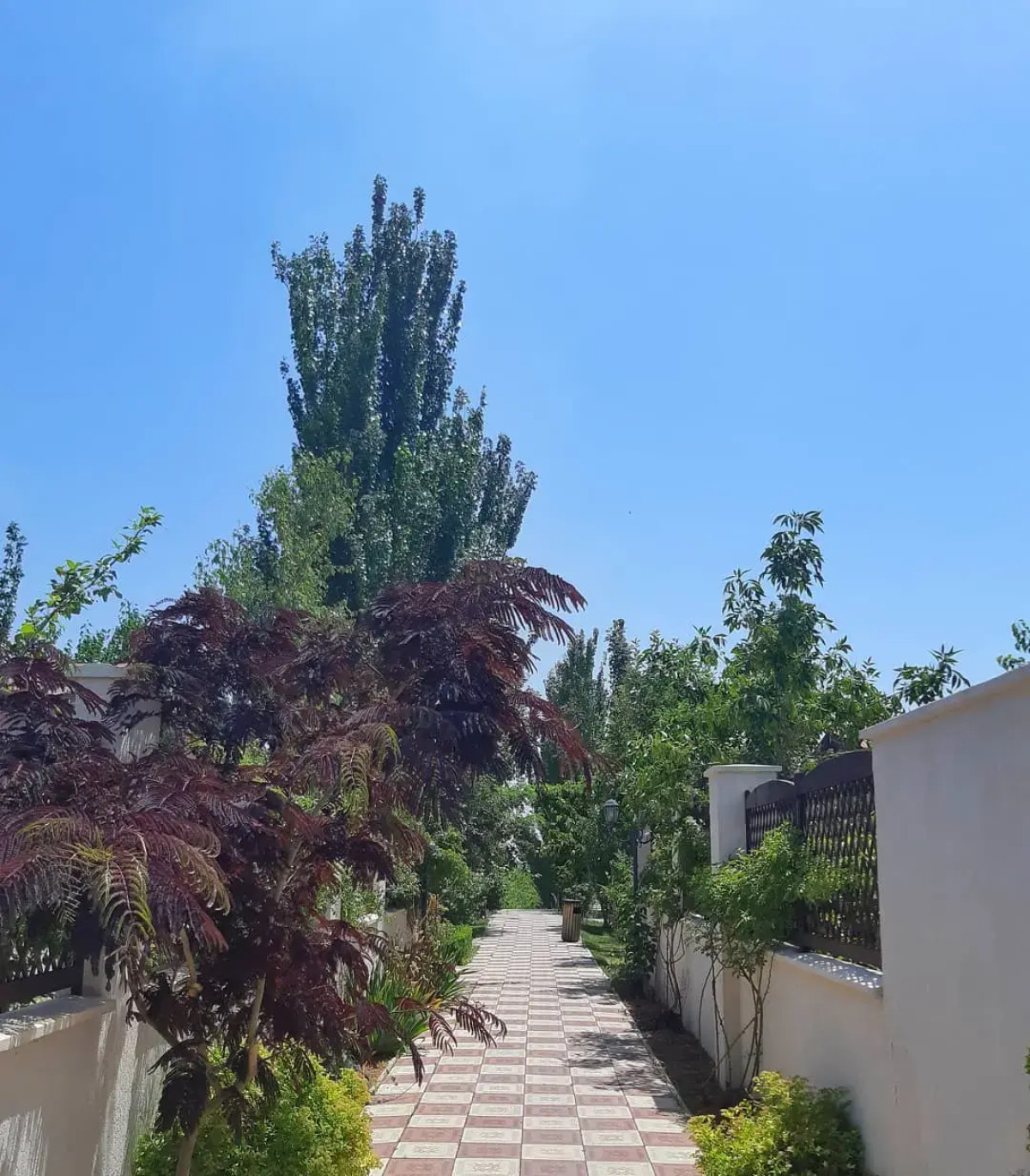 Отель Cross Resort