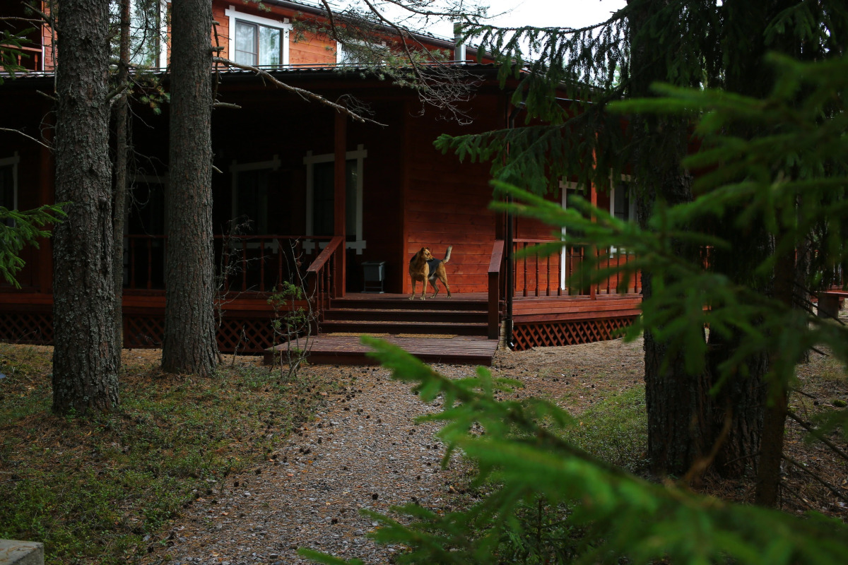 Гостевые дома Усадьба на Шамокше