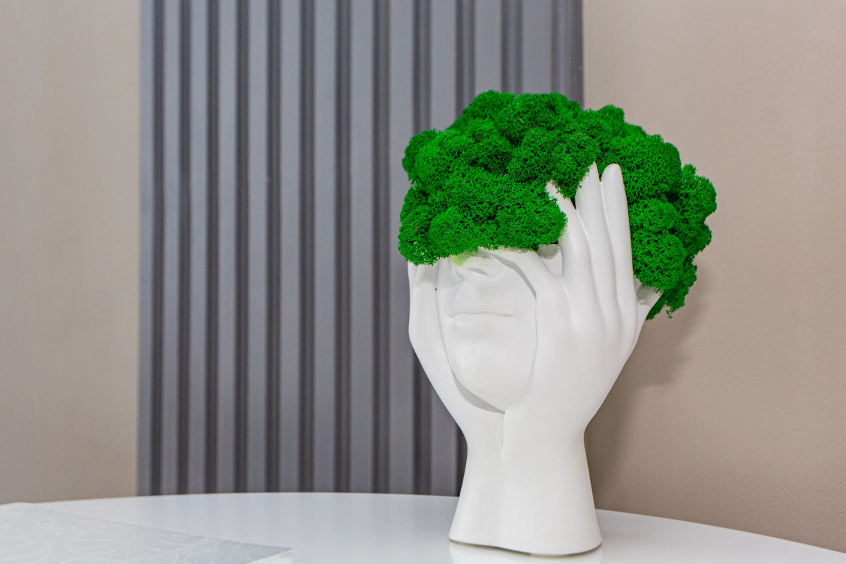 Уютная однокомнатная квартира в центре Новосибирска