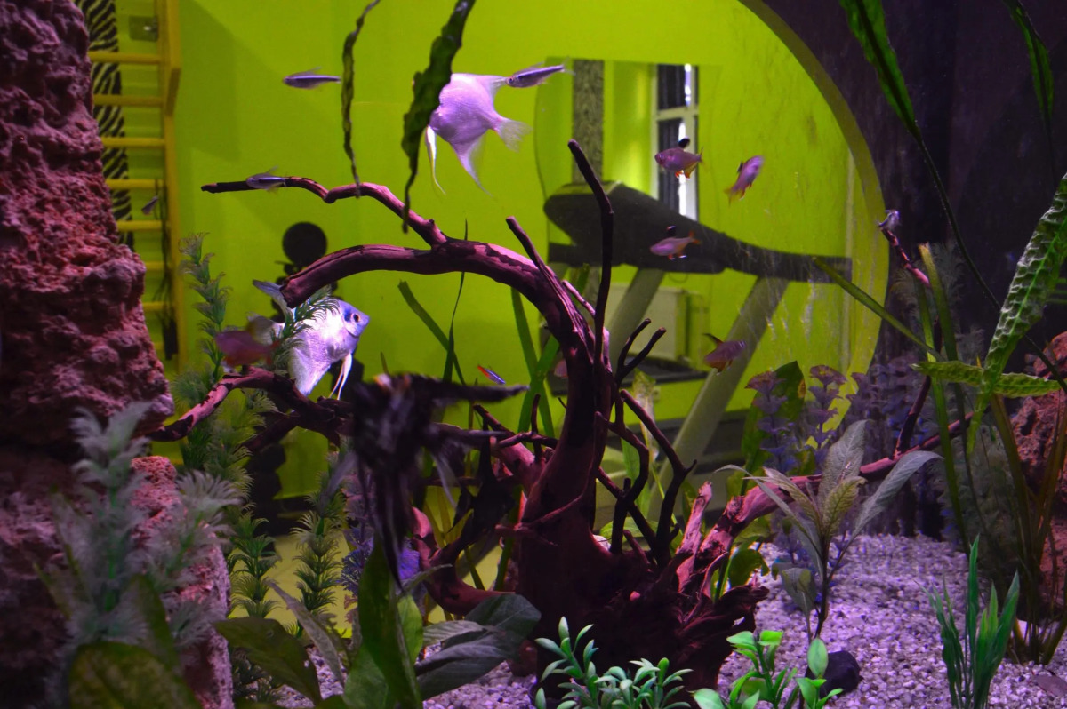 Отель Belgrade City