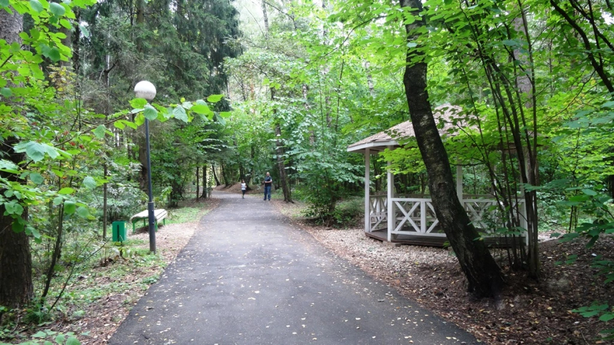 Pavlovo Apartments