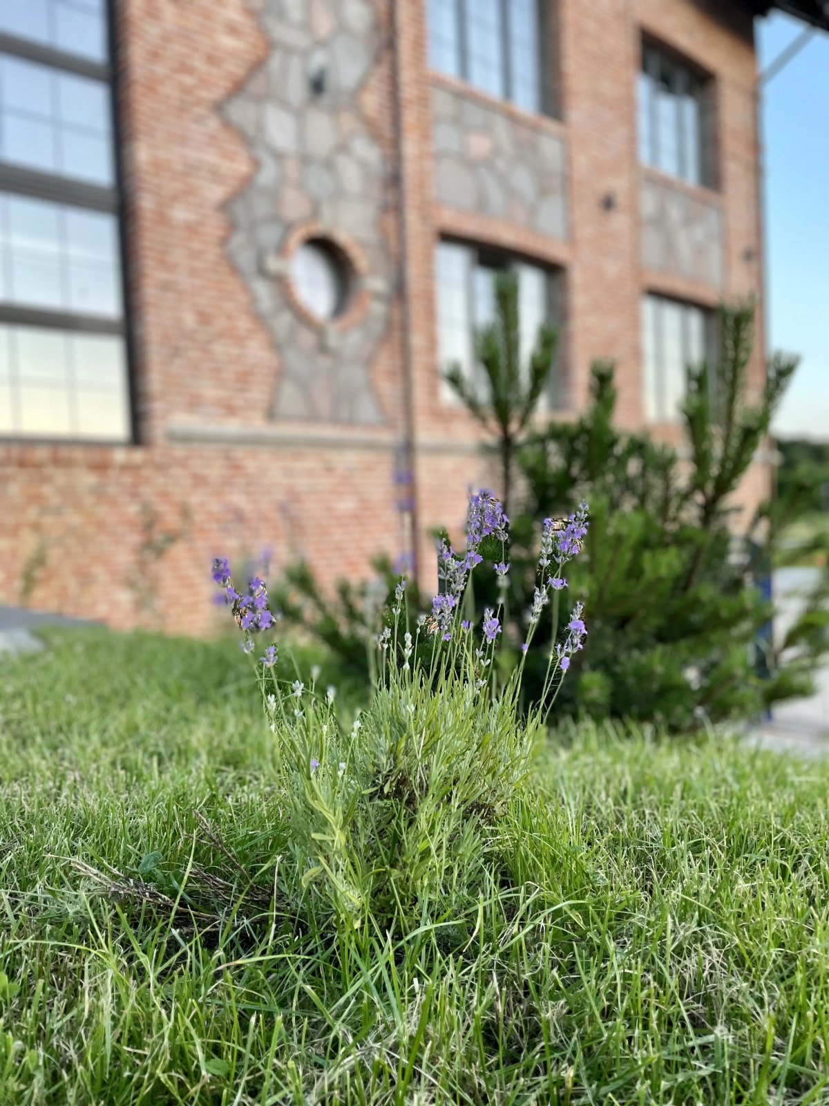 Отель Альфа Гарден