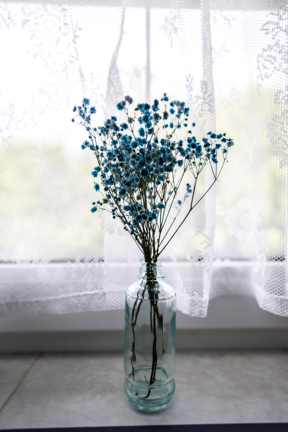 Гостевой дом Синяя синица