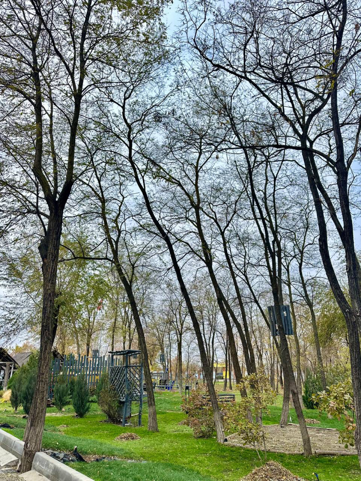 Мини-отель Евразия Парк