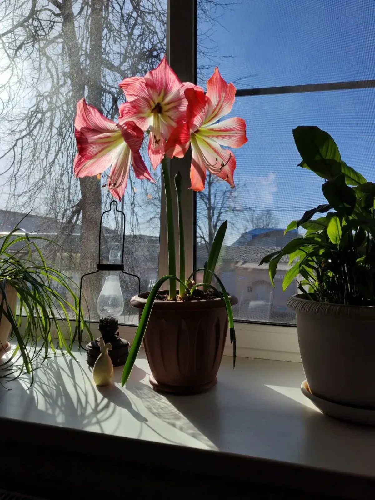 Отель Чемодан