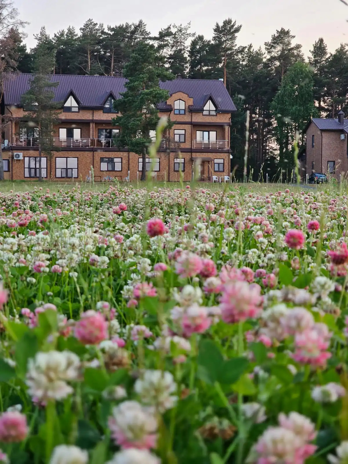 База Отдыха Озерная