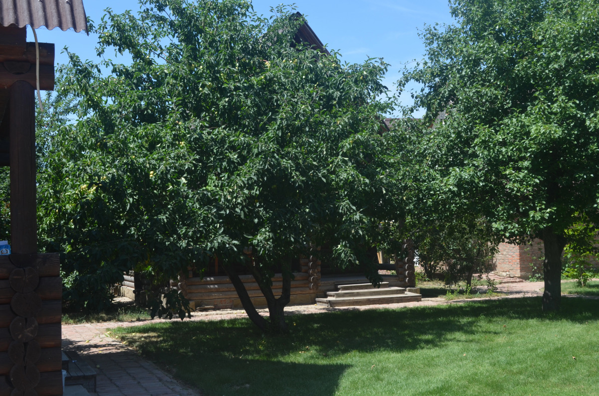 Усадьба Никольское