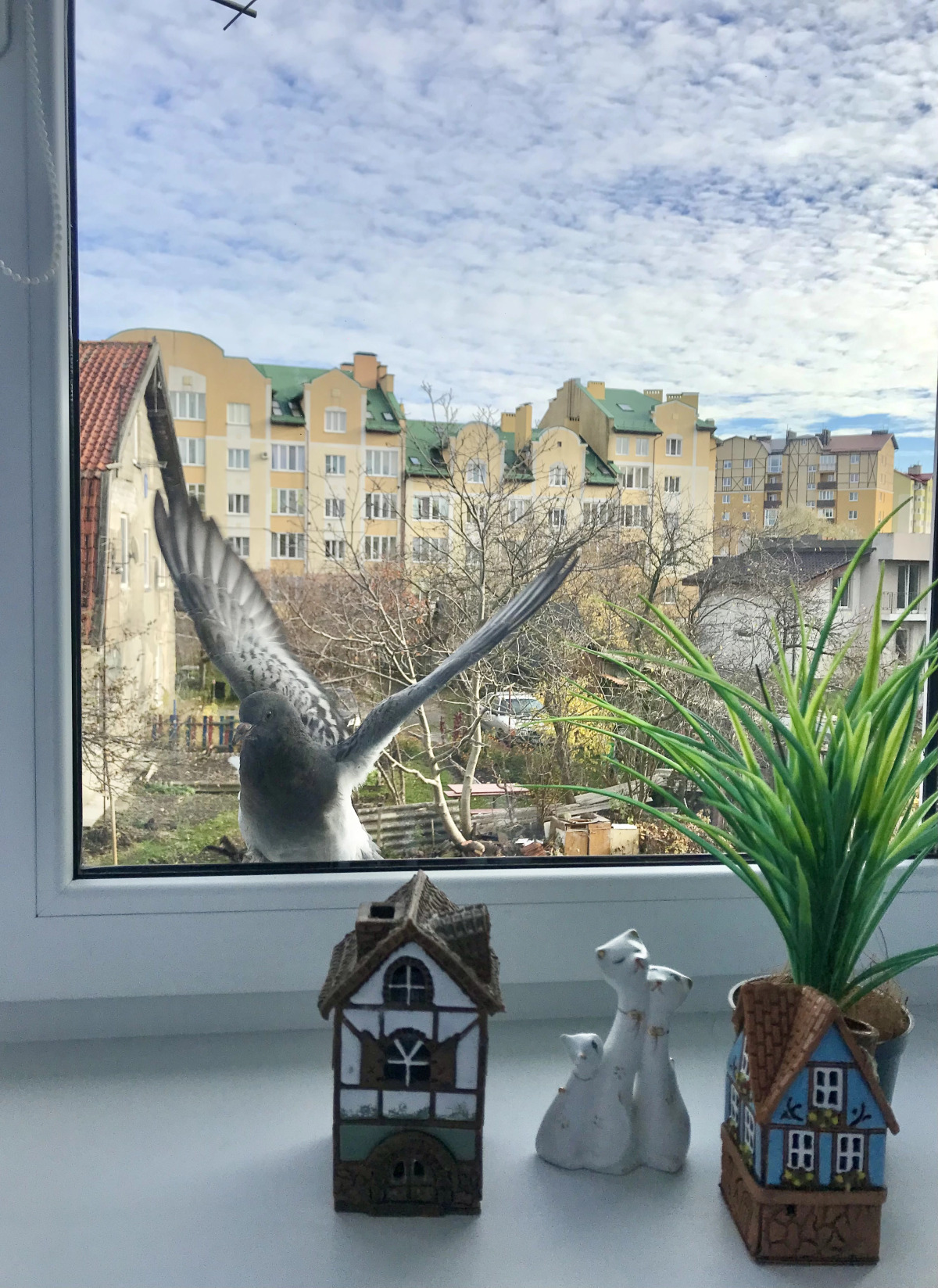 Апартаменты у моря Alexandra