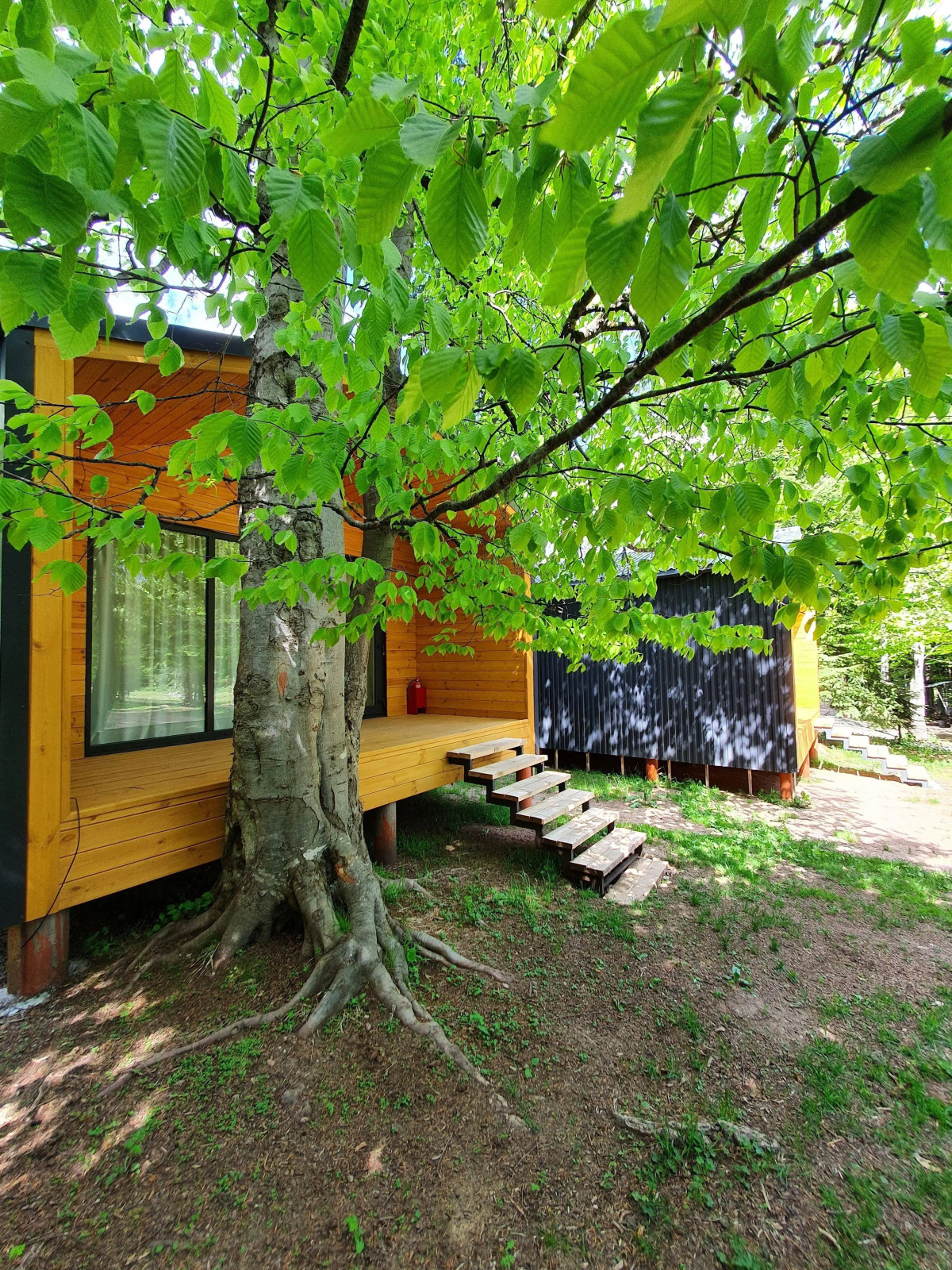 Шале Сияние Family Сlub