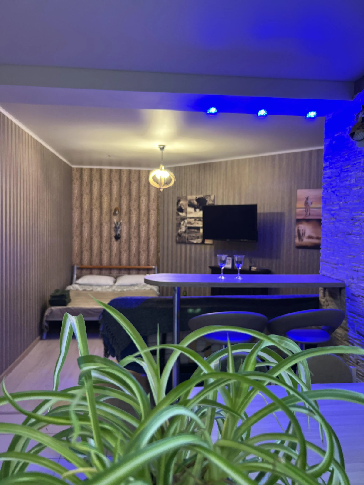 Апартаменты Галерея уюта