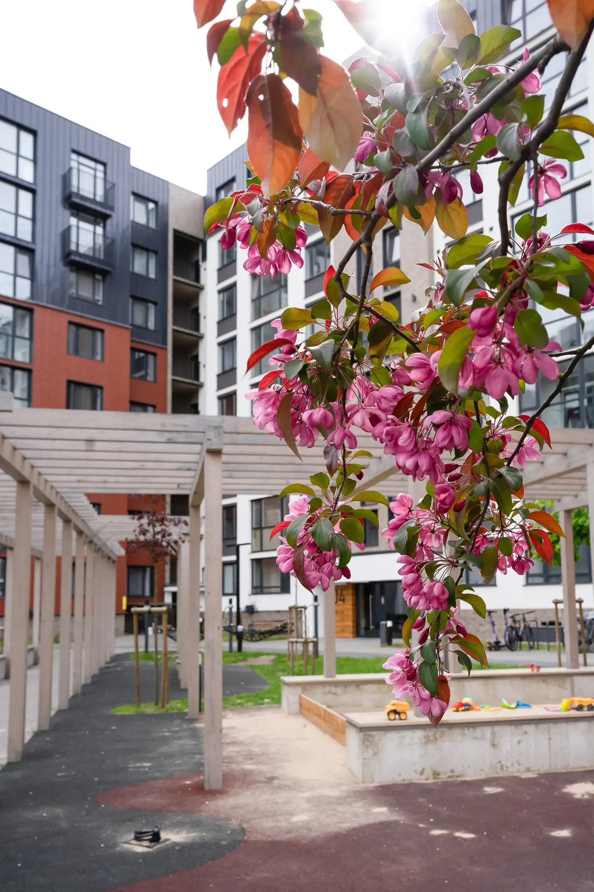 Апартаменты Iris by Pavlov