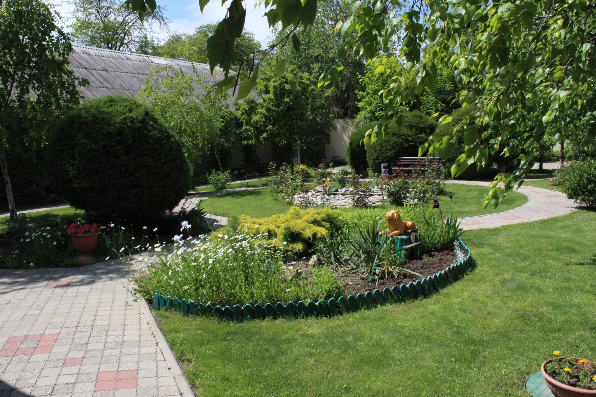 Отель Золотой Лев