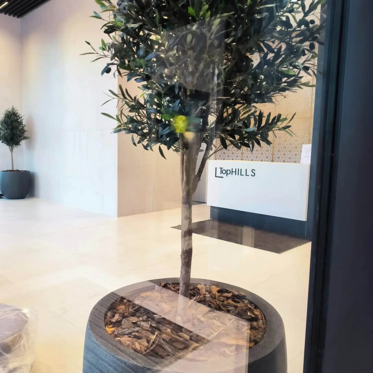 Бизнес-апартаменты  Lora Home на Нагорной