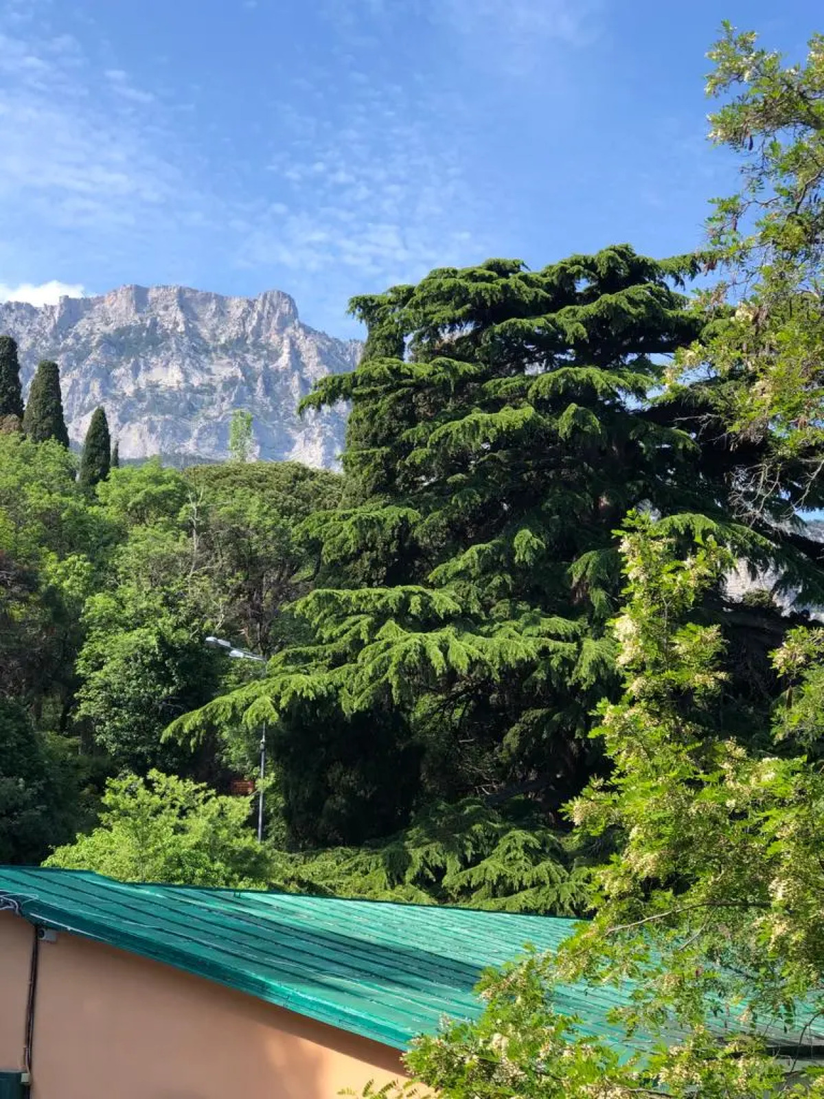 Мини Отель Кедр