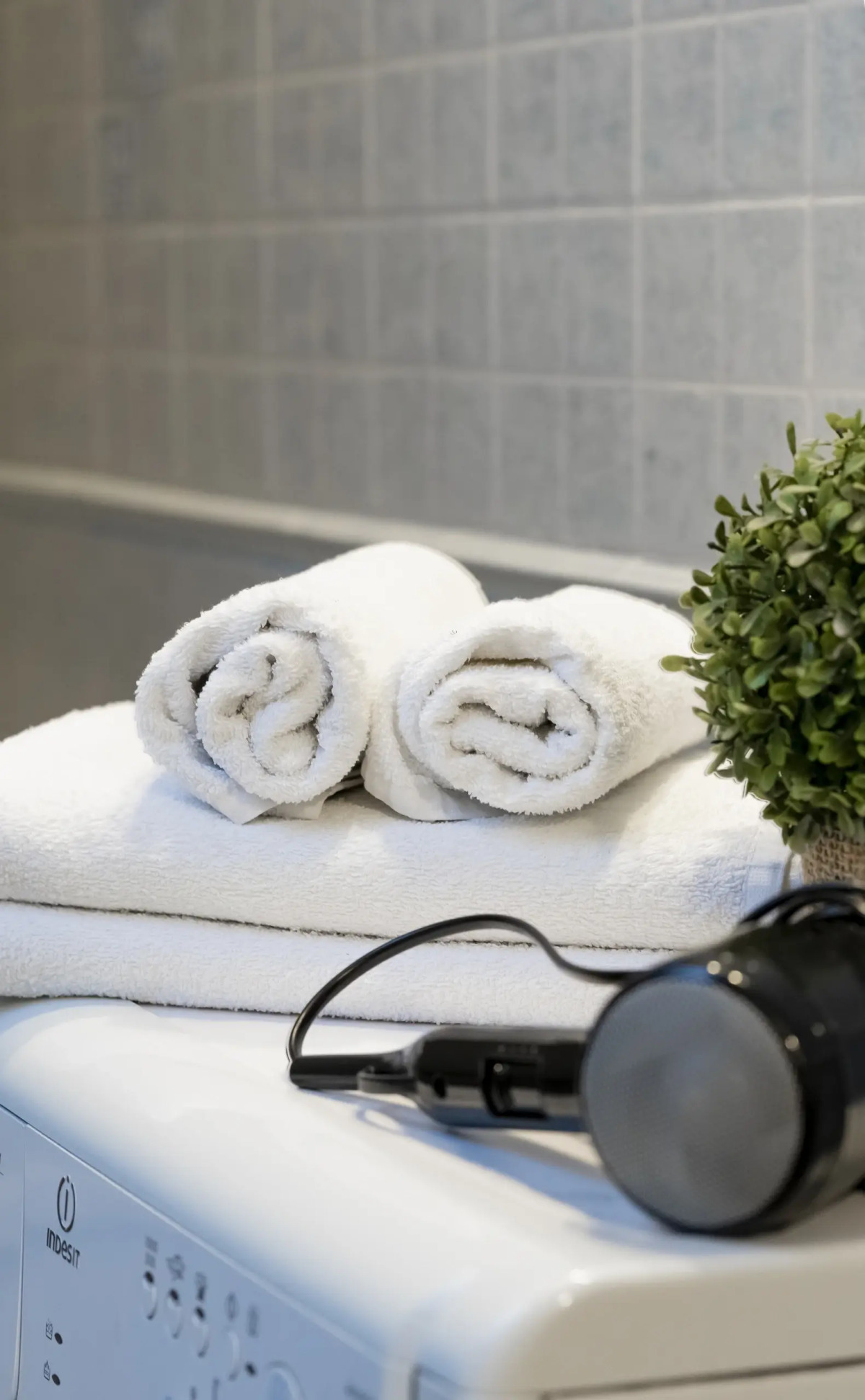 Апартаменты двухуровневые в тихом районе Амалиенау