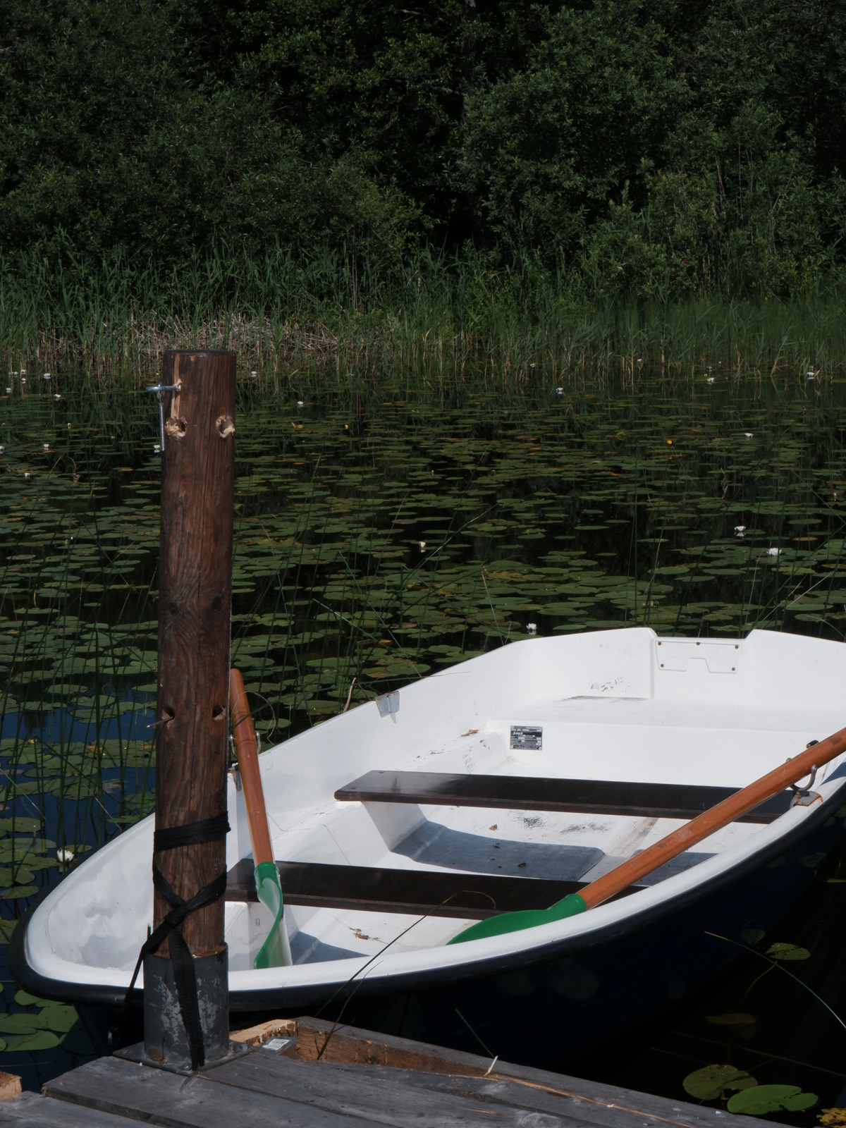 База отдыха Торополис