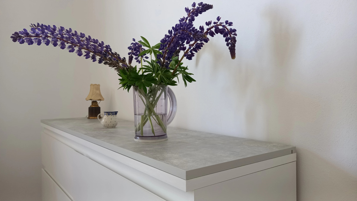 Апартаменты Гавань