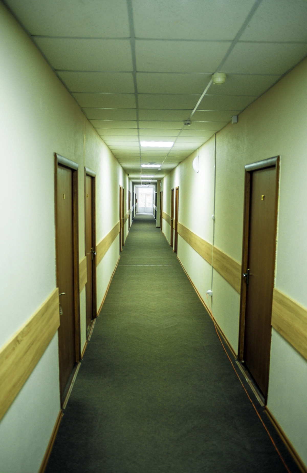 Лужский Социально-Деловой Центр Гостиница Луга