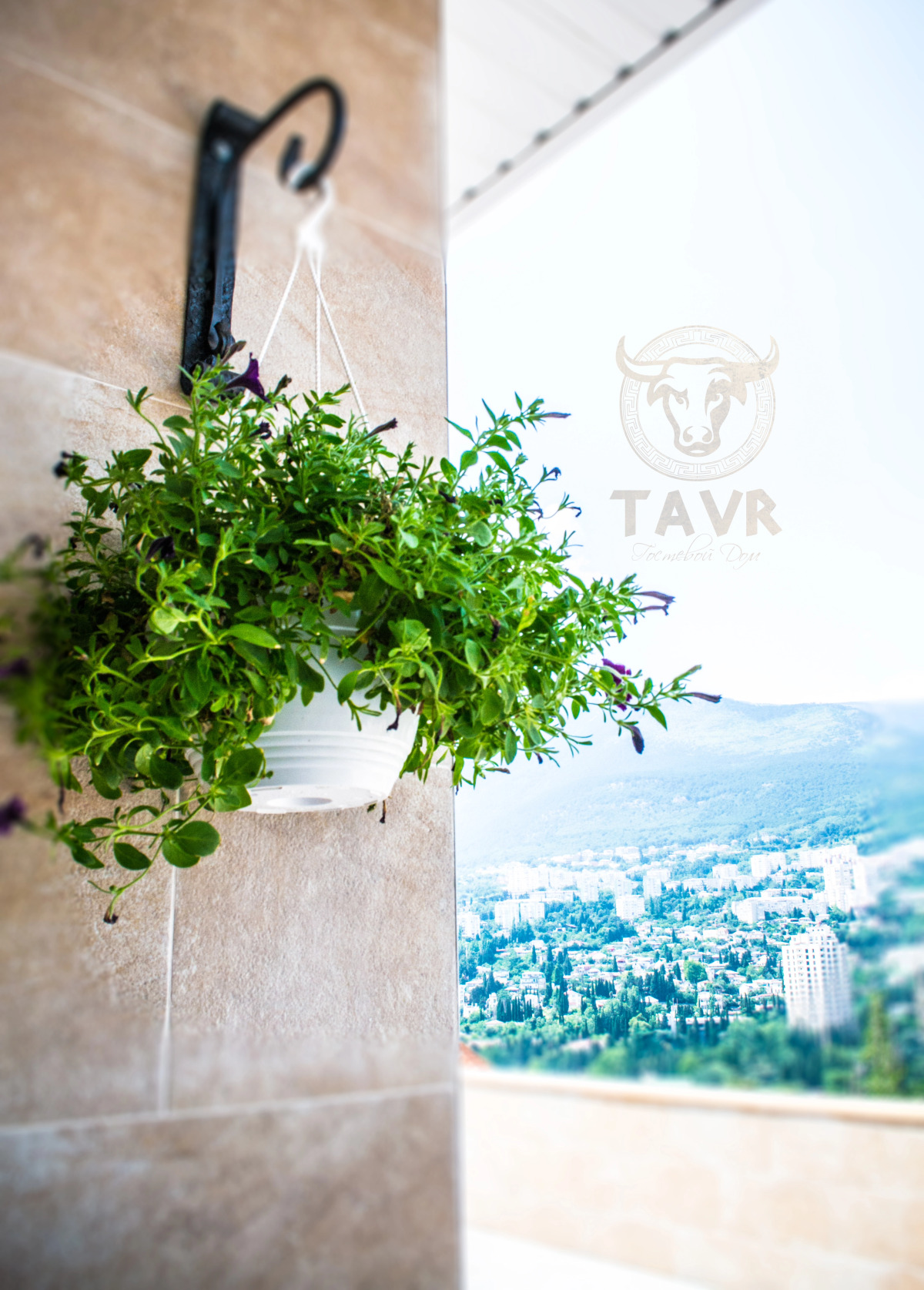 Гостевой Дом Тавр