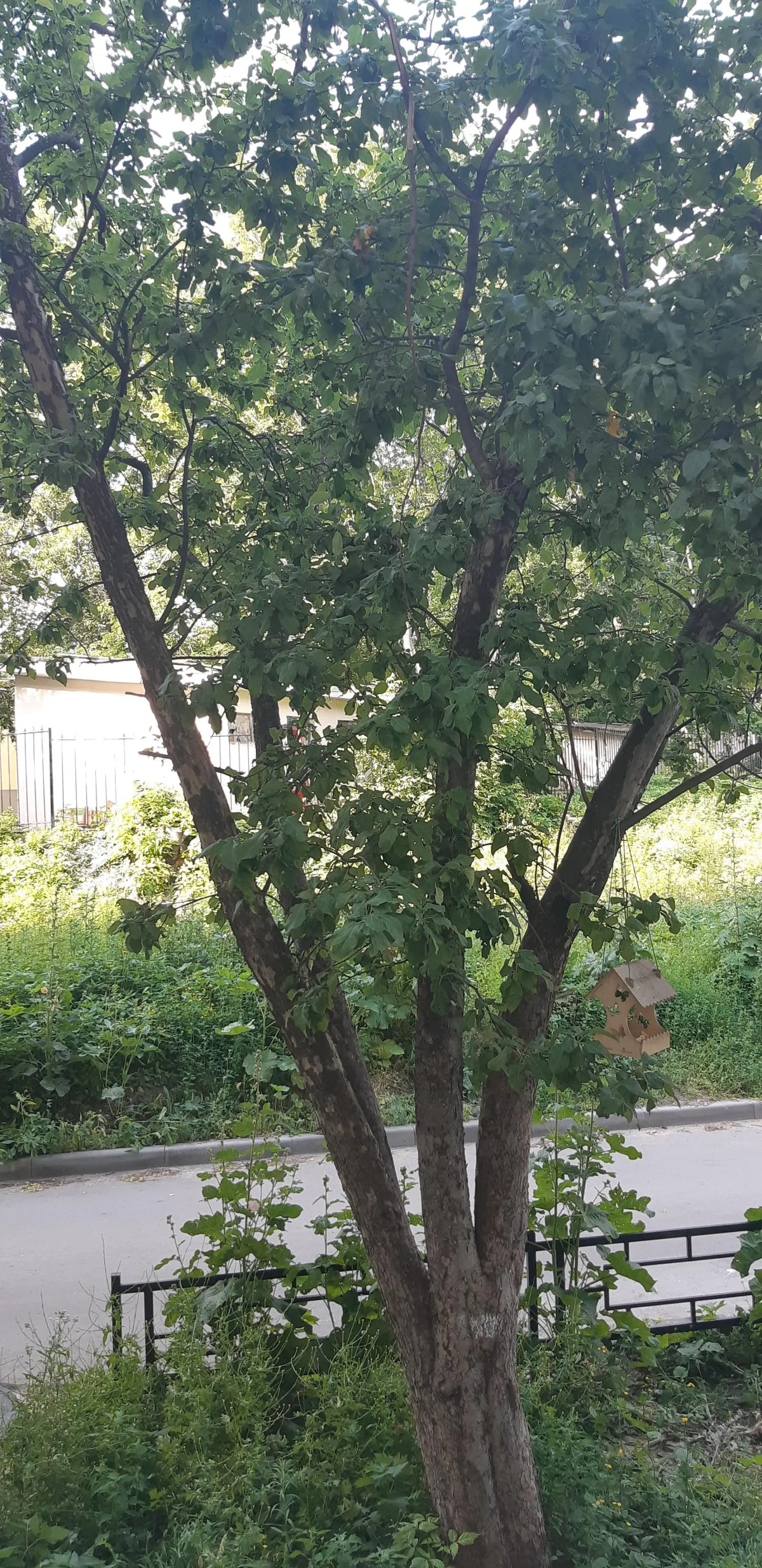 Квартира Esda