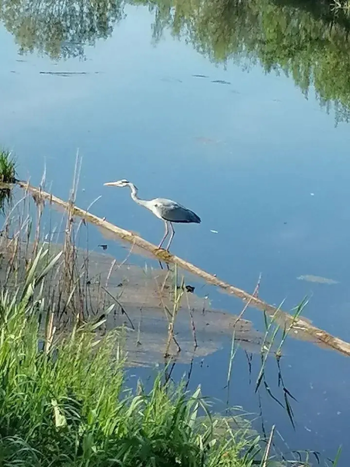 Частный дом На Берегу Озера