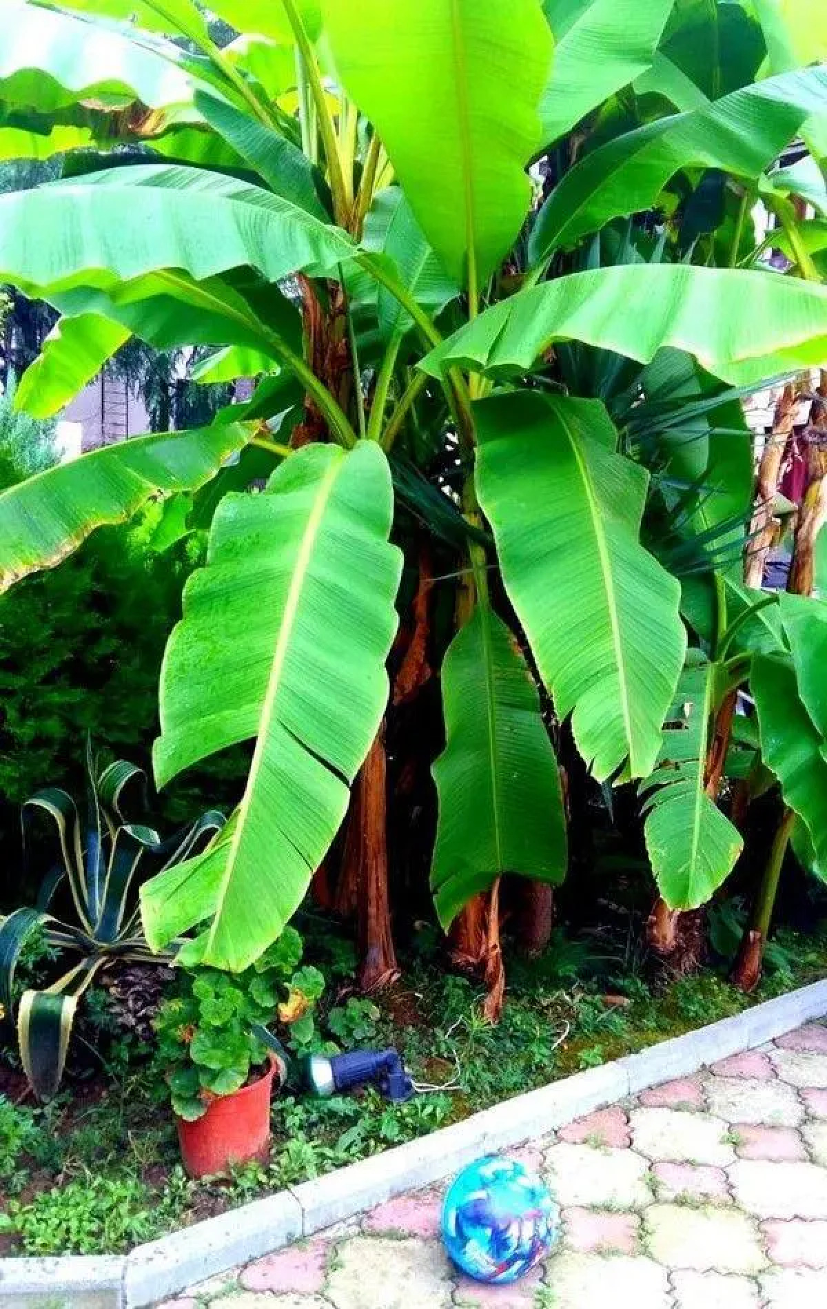 Отель Милана