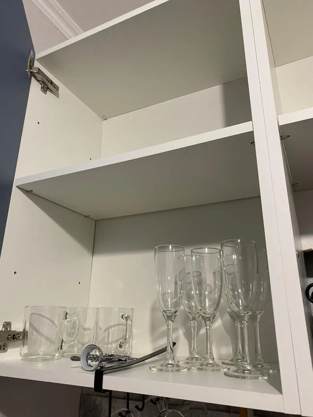 Квартира  на  Ольгинской  набережной  9