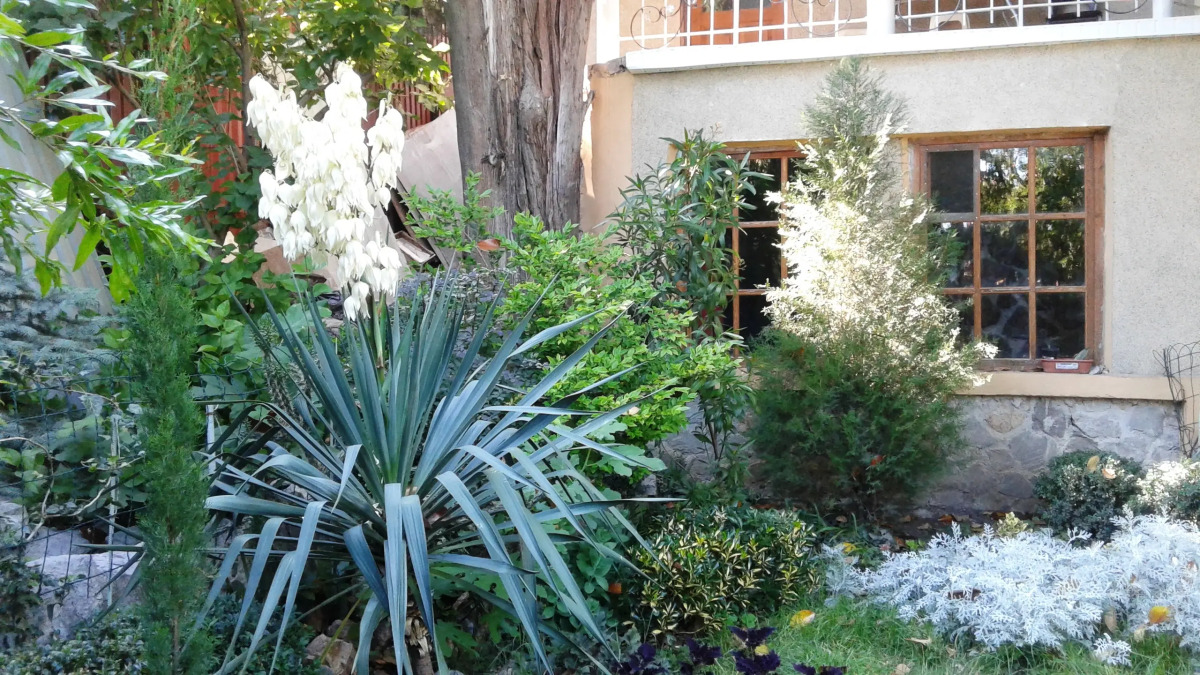 Гостевой дом Радмир