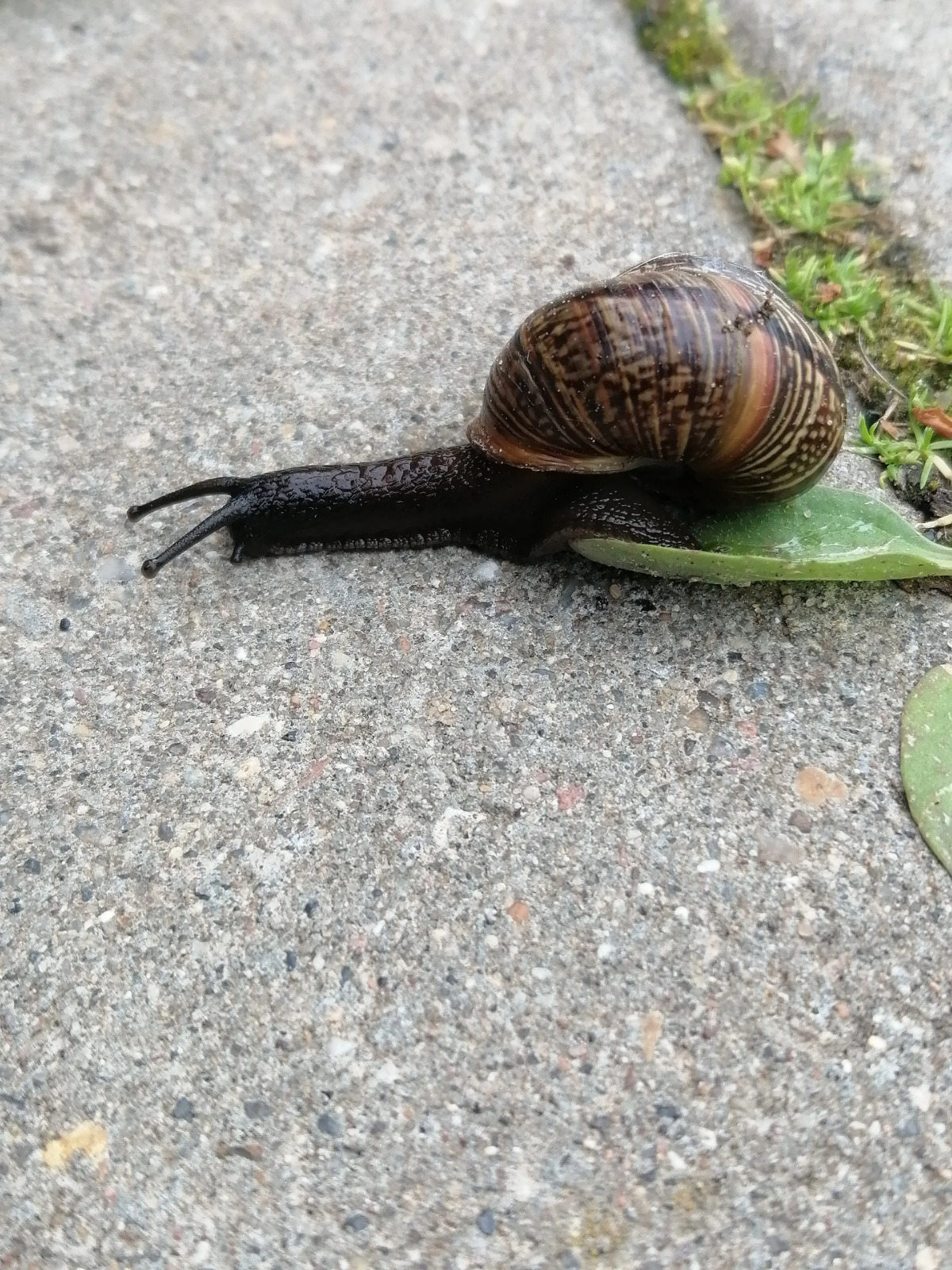 Гостевой дом Окулова Заимка