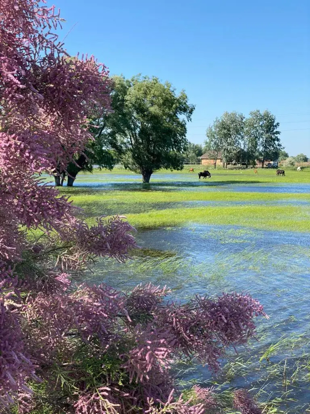 База отдыха Домик в Лотосах