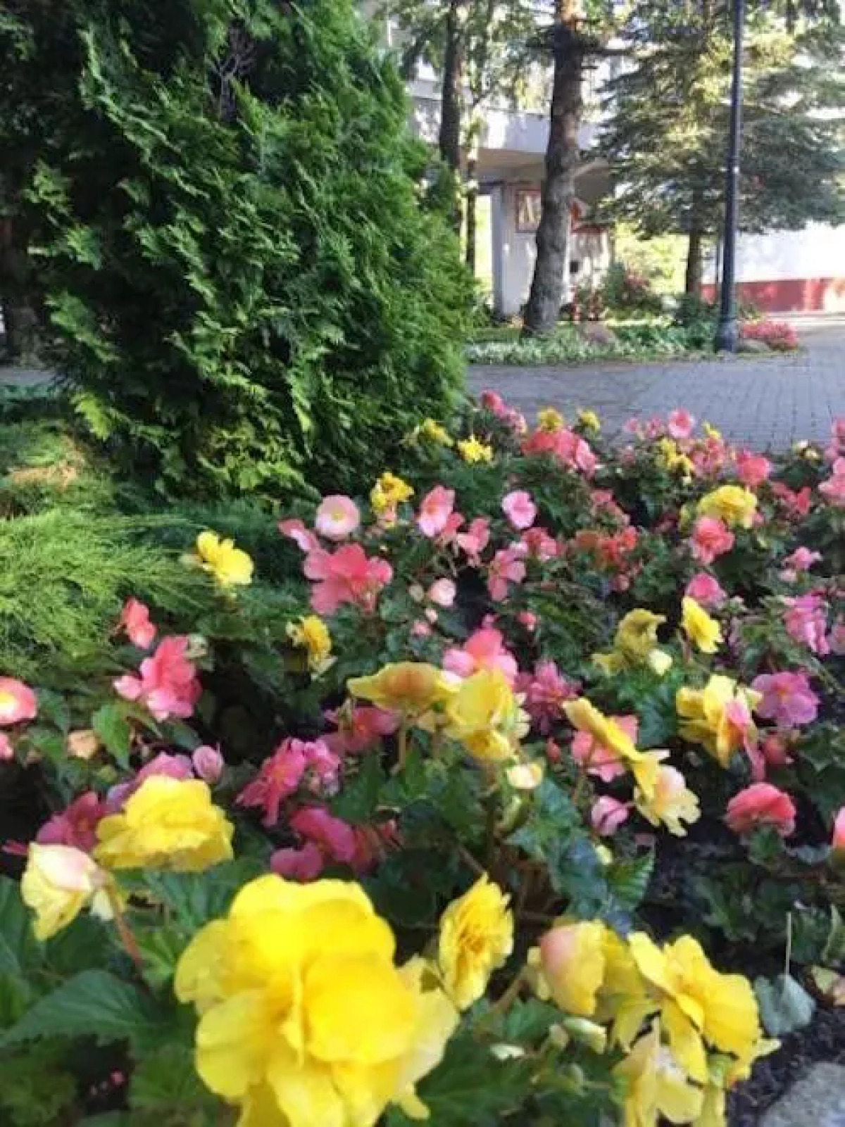 Гостевой дом Sea & Sun Aparts