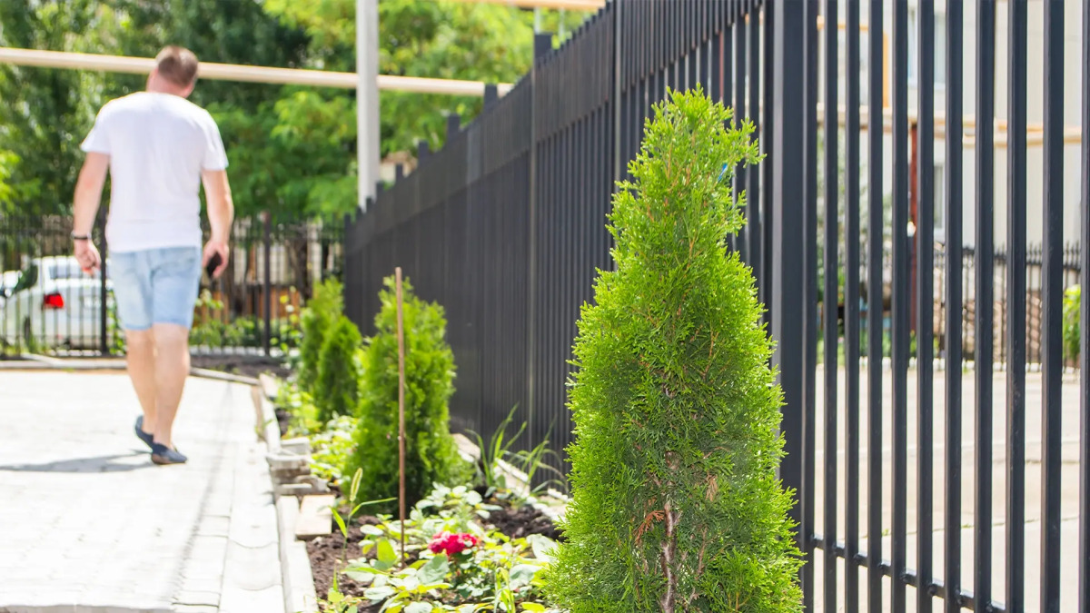 Гостевой дом Домус Море