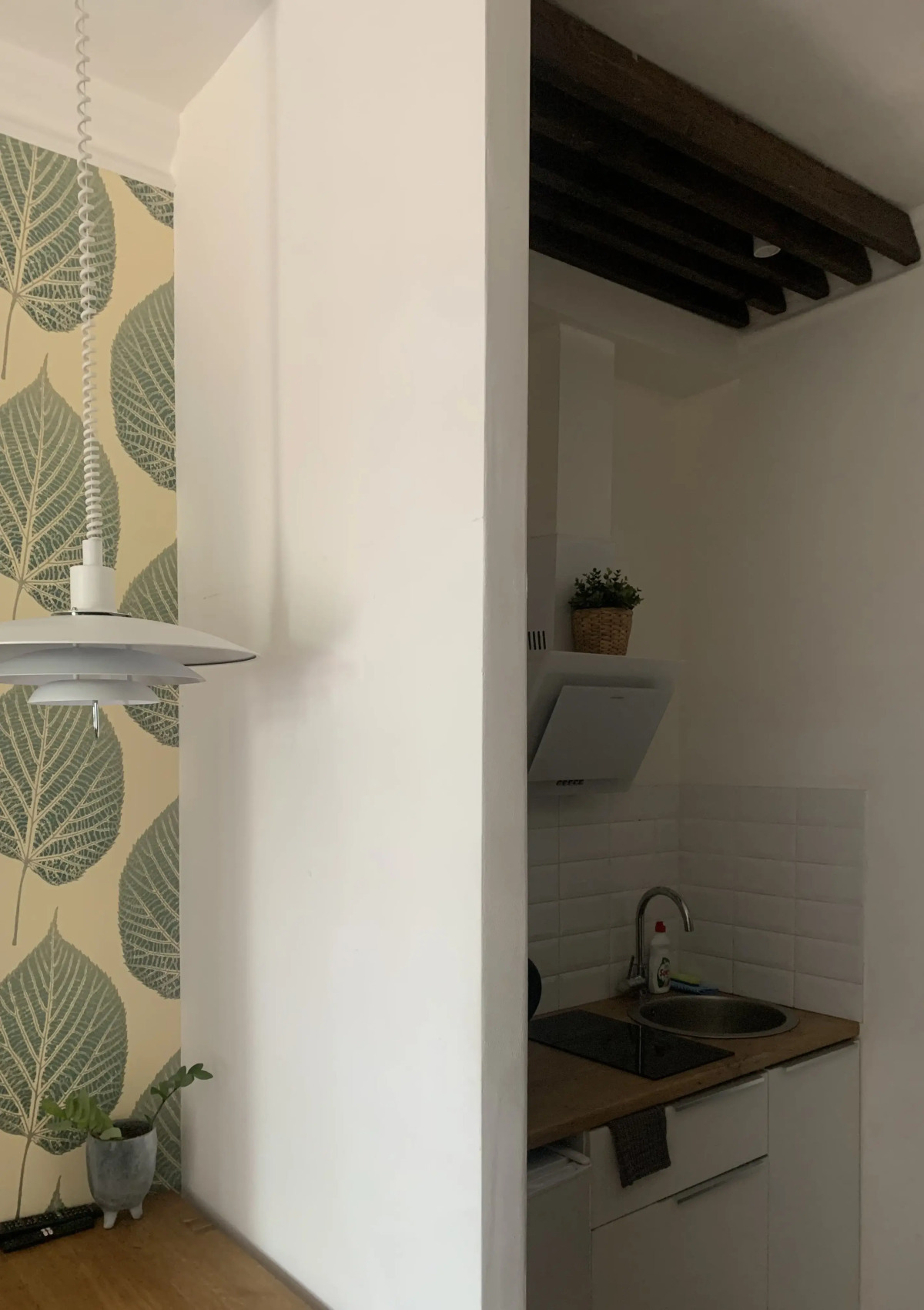 Апартаменты 1 на Рубинштейна 36