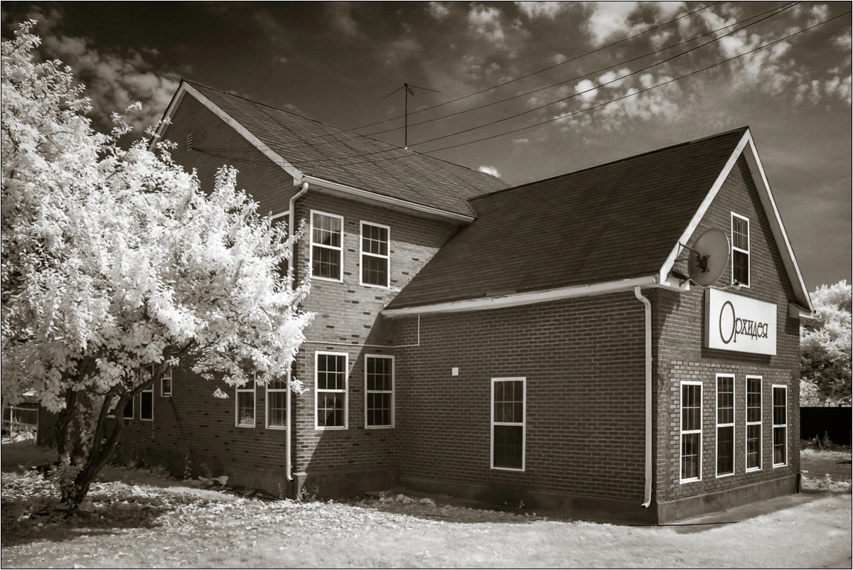 Гостевой Дом Орхидея