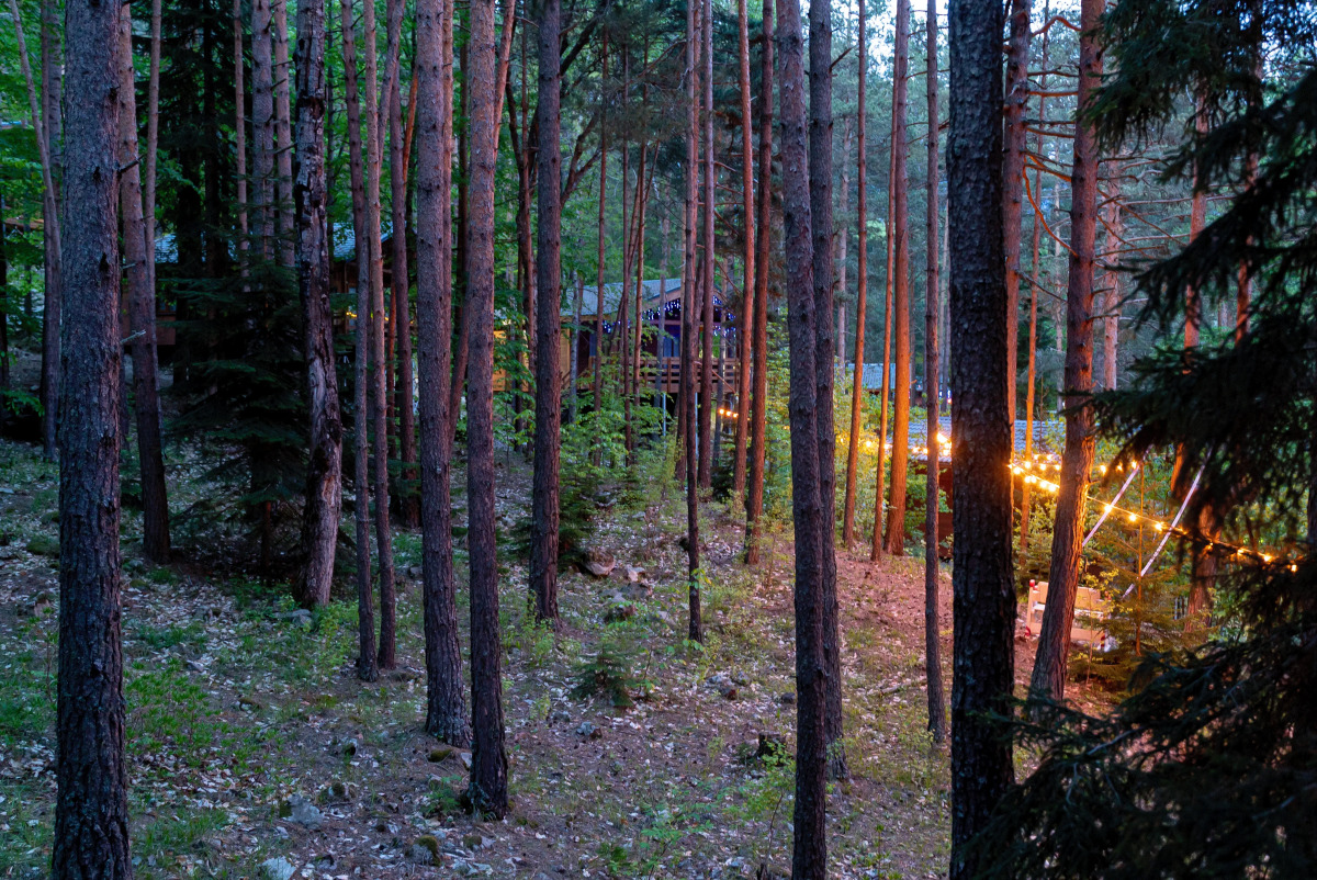 Отель Нарния