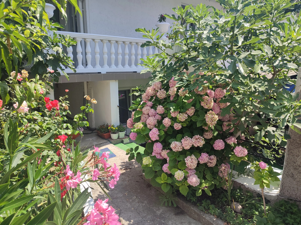 Гостевой дом Вилланика