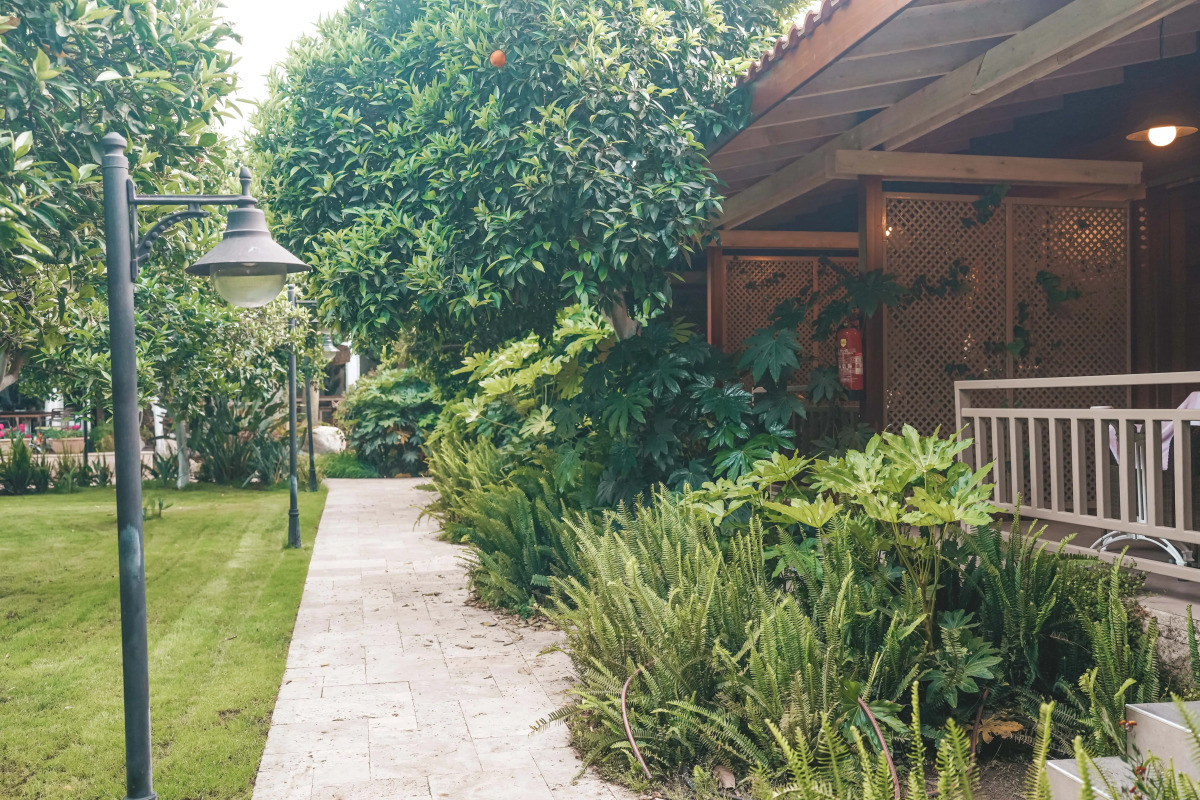 Отель Kimera Lounge