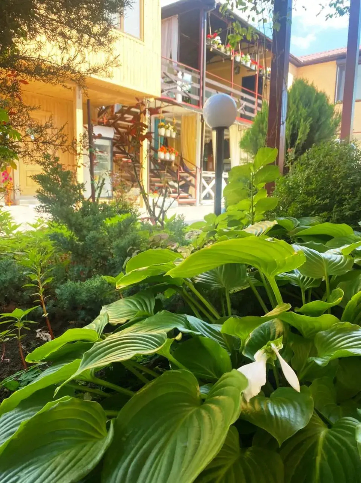 Отель Ласточка 117