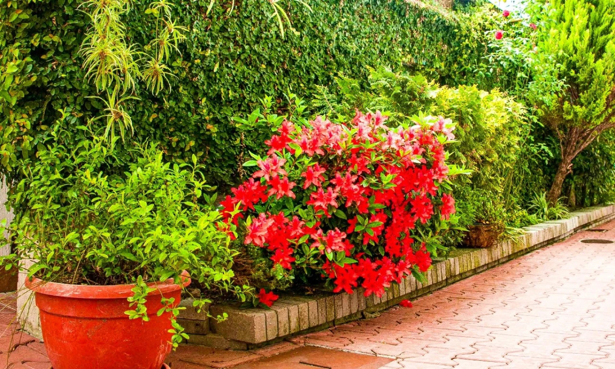 Гостевой дом Вилла Валентина by Sun City Hotels