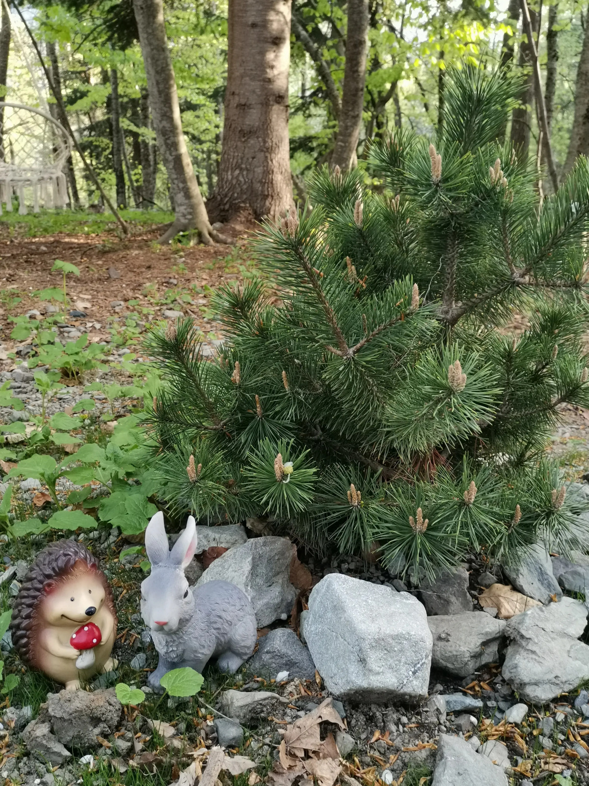 База отдыха Счастливые люди