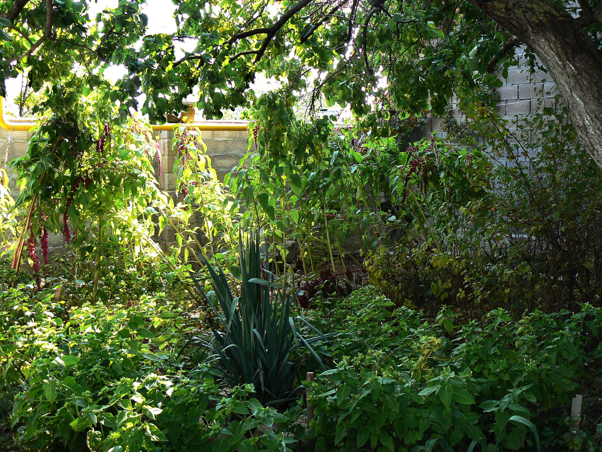 Гостевой Дом Рейд