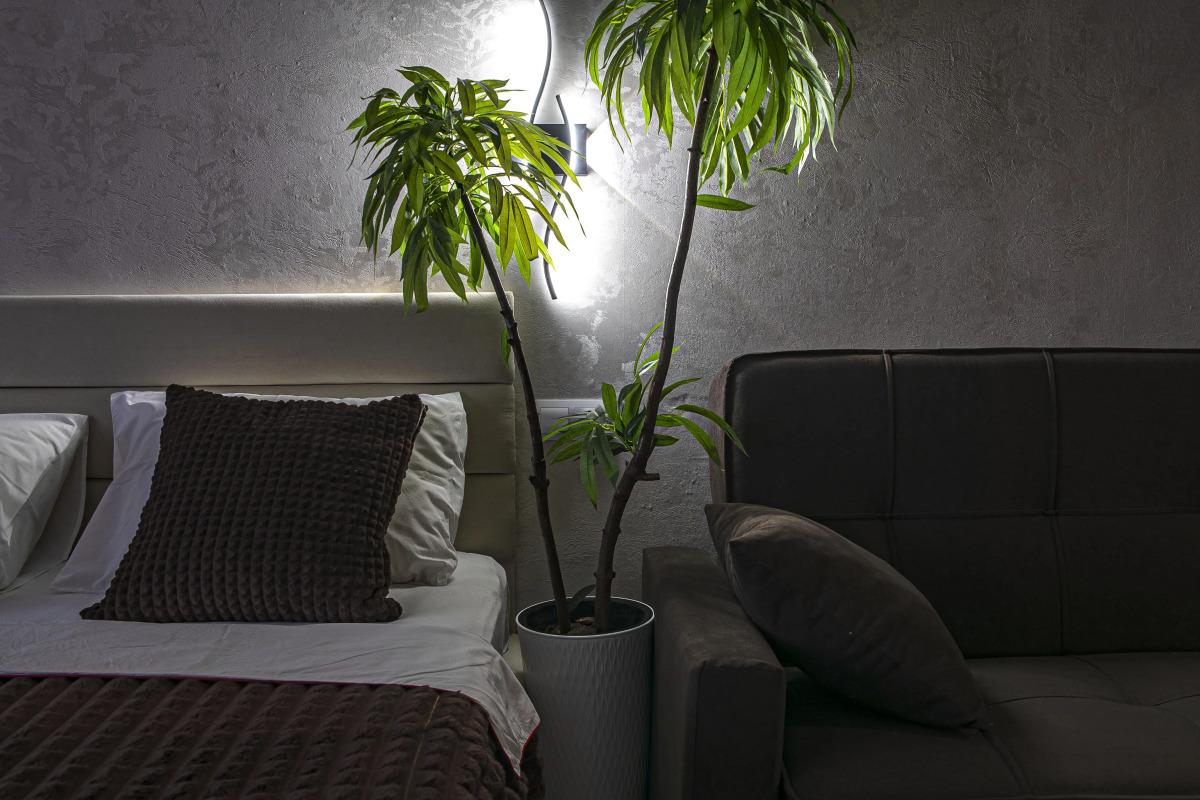 Апартаменты в Нижнем Новгороде