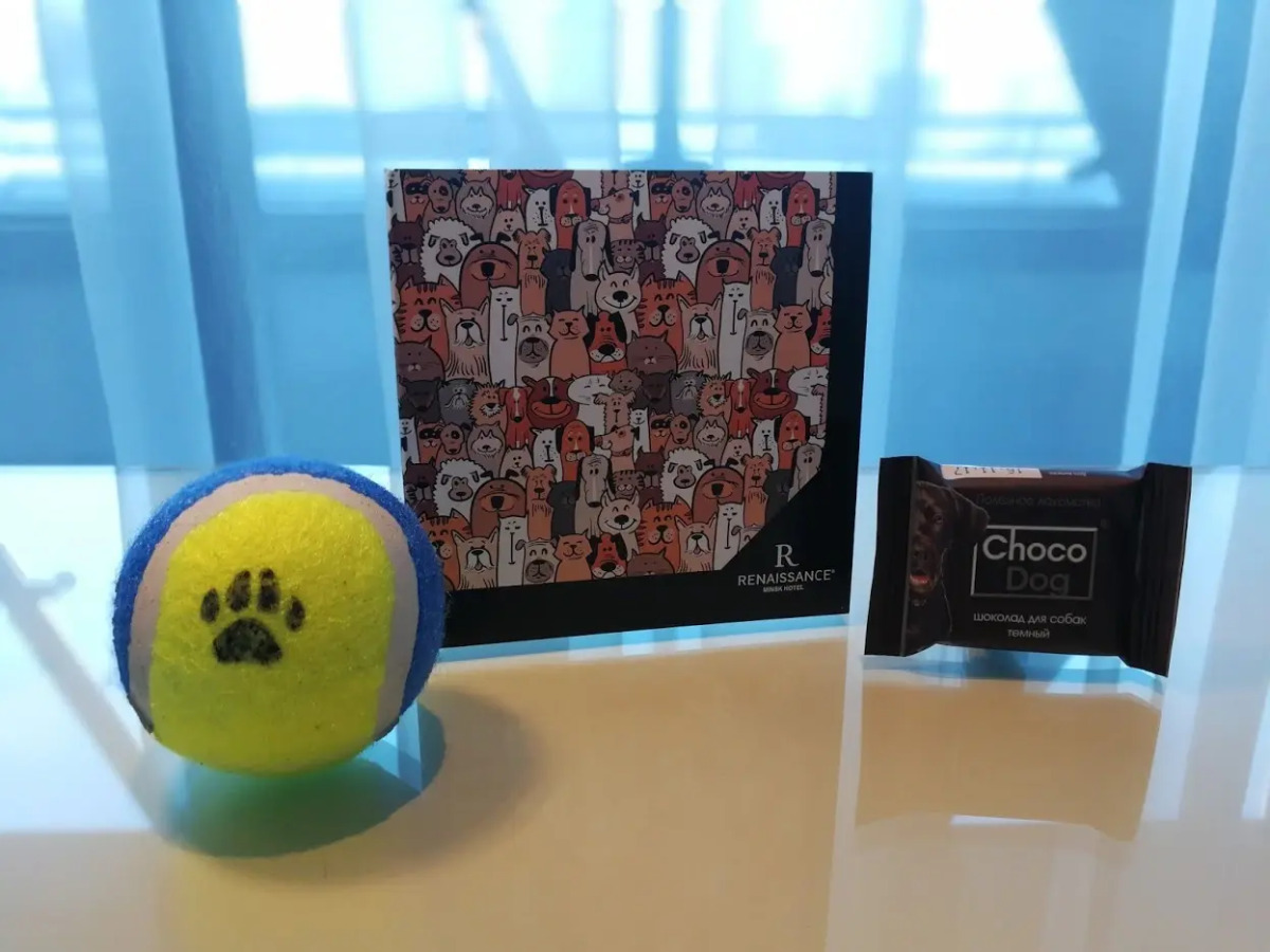 Отель Ренессанс Минск Конгресс и СПА Центр