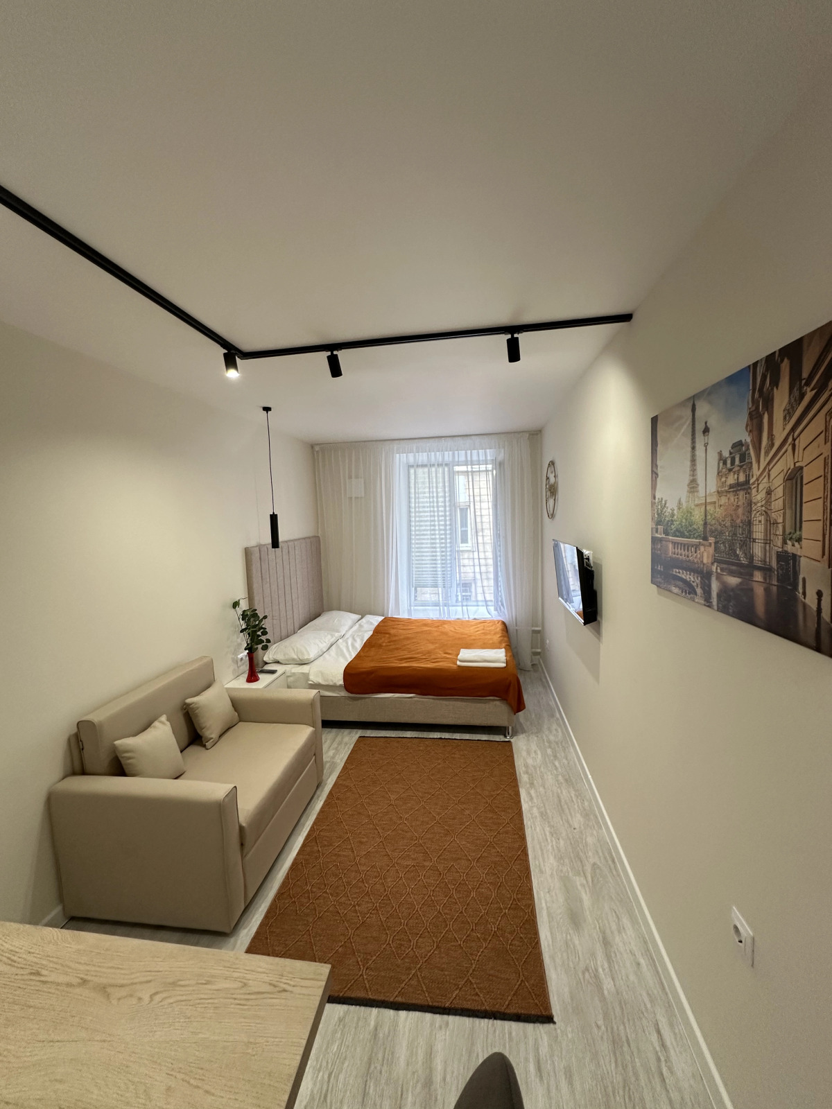 Апартаменты Студия Пушкинская 11/4