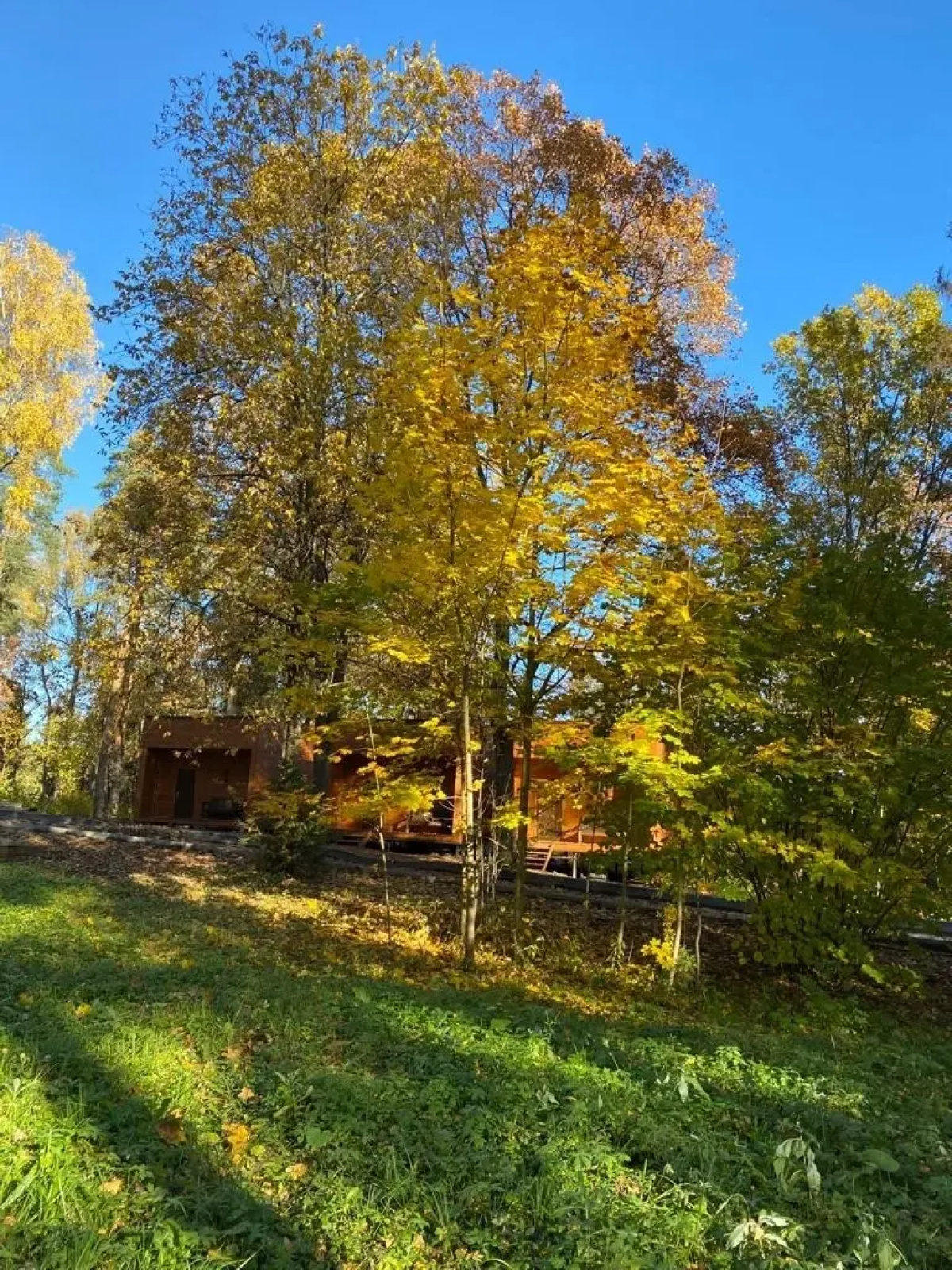 Отель Ruza Forest