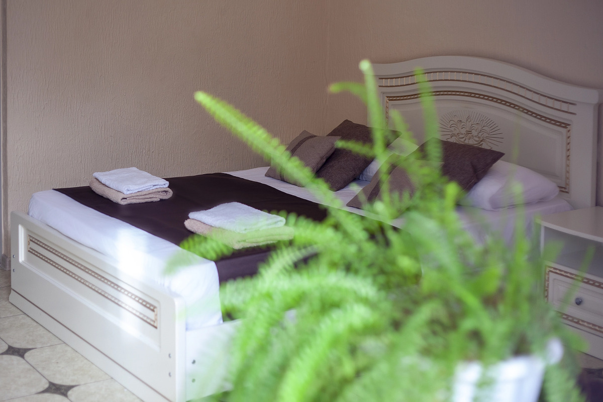 Гостевой Дом Алоиза